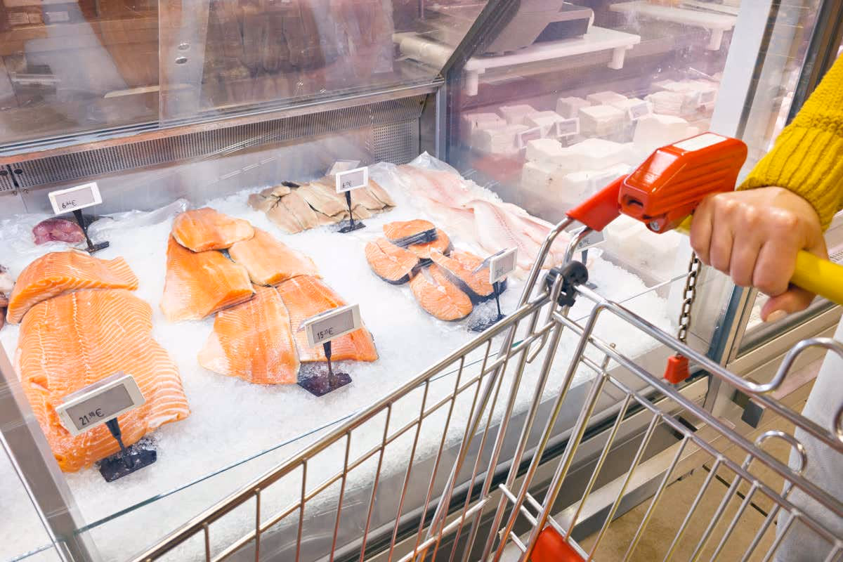 Mercato ittico oltre i 4 miliardi: cresce il salmone, cala il baccalà tradizionale