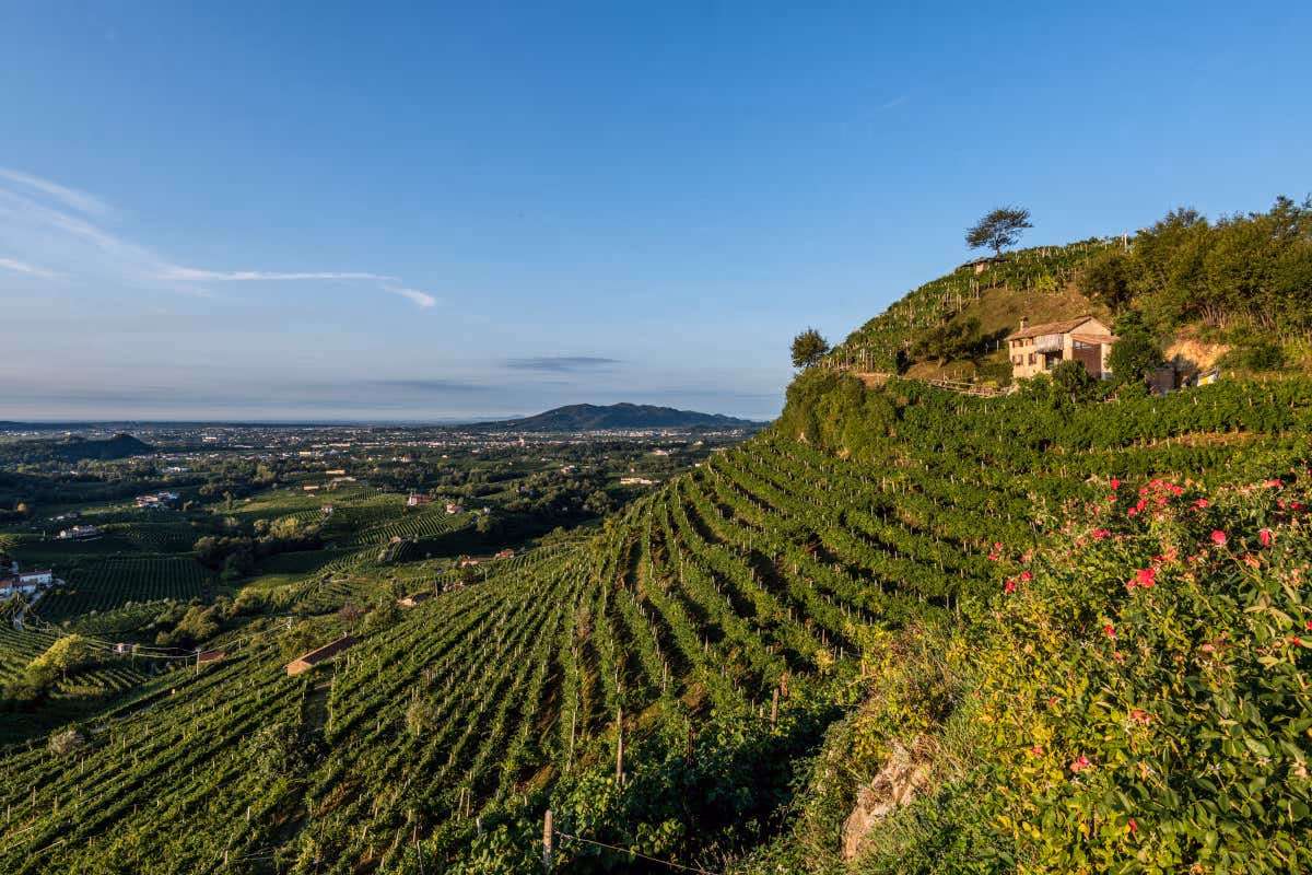Le colline attorno a Santo Stefano di Valdobbiadene, zona di produzione di Col Vetoraz