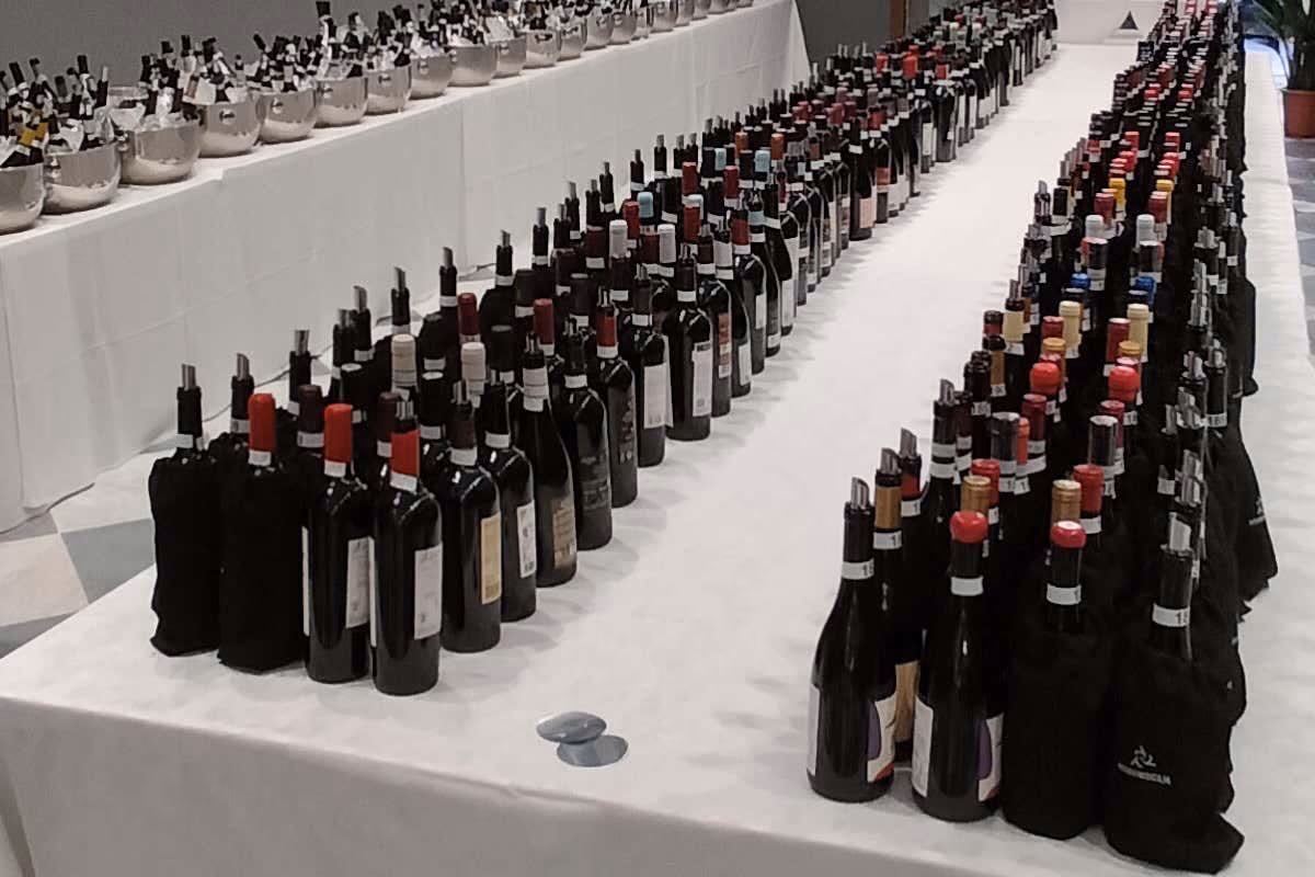 Sicilia en Primeur 2026, 56 cantine raccontano il vino tra Etna e Palermo
