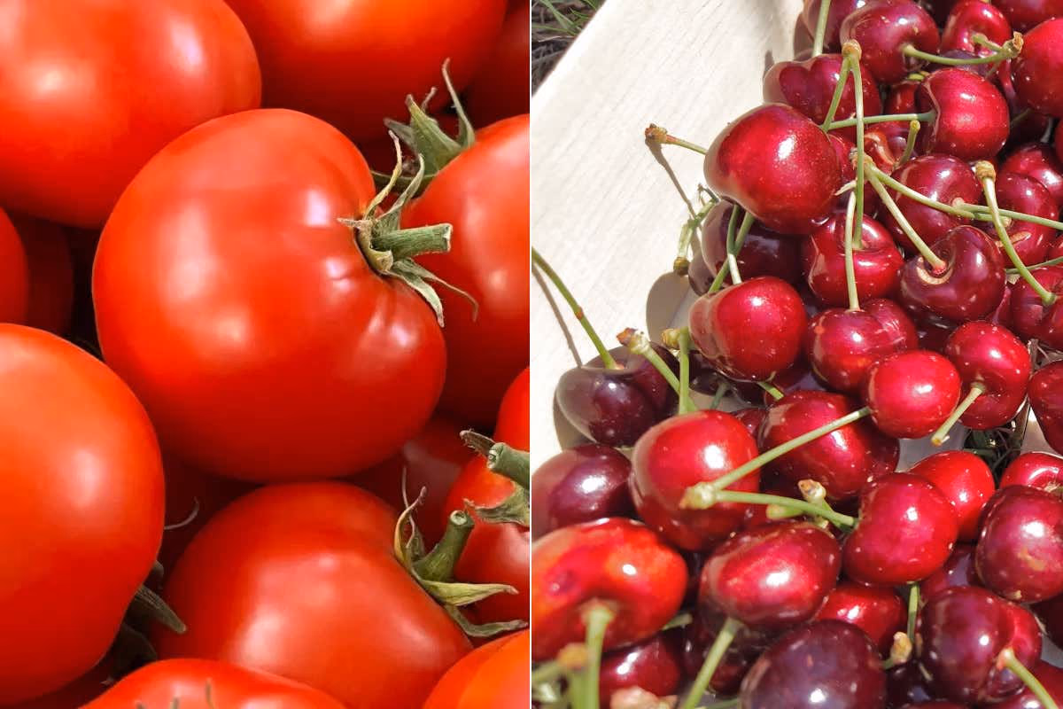 Pi&ugrave; prodotto nei campi, prezzi in discesa: l'estate favorisce frutta e ortaggi Dai pomodori alle ciliegie il caldo favorisce raccolti e prezzi pi&ugrave; bassi