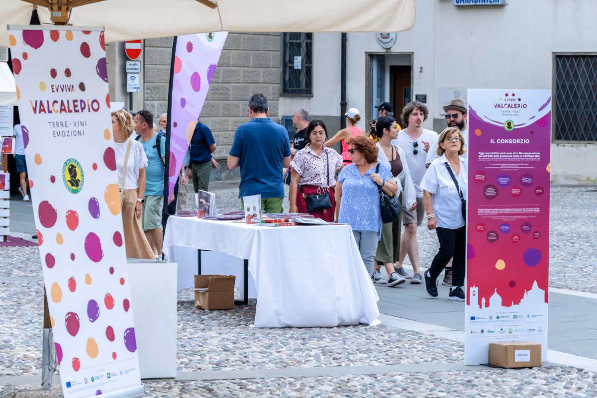 Bergamo, il vino entra in città: come cambia Evviva Valcalepio per i 50 anni della Doc