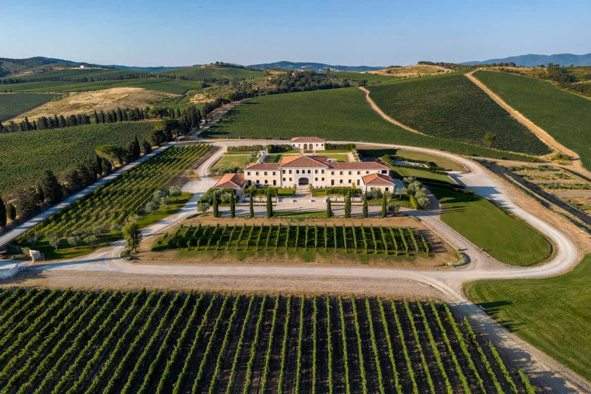 30 anni di Val delle Rose: la scommessa di Cecchi sulla Maremma che ha cambiato il vino