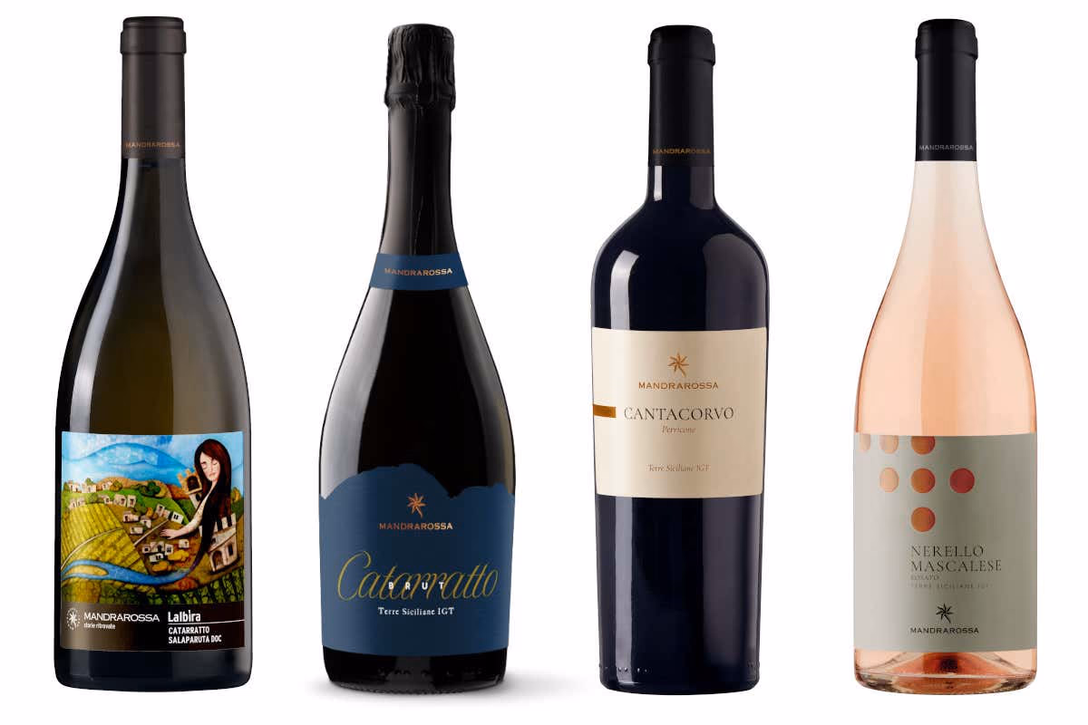 Le novit&agrave; di Mandrarossa (da sinistra):&nbsp; Mandrarossa: quattro nuovi vini per leggere i vitigni siciliani