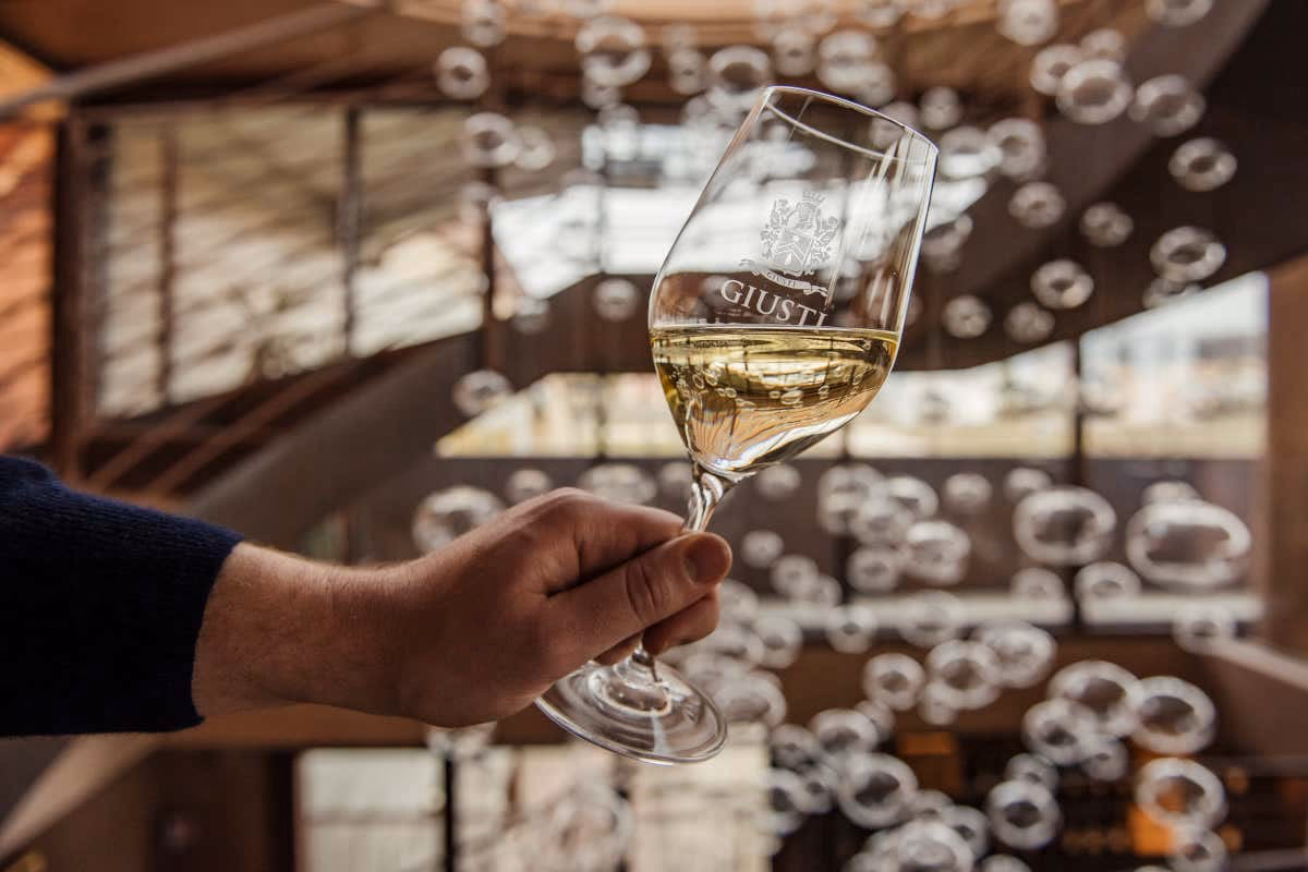 Dal Montello al Canada e ritorno: il vino di Giusti nasce da una sfida personale