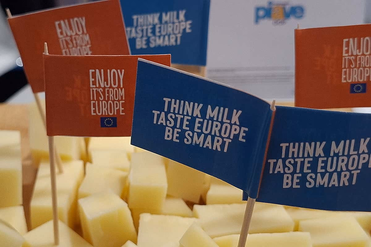 L’export dei prodotti lattiero-caseari italiani raggiunge miliardi di euro, sostenuto dalla capacità delle cooperative di fare massa critica sui mercati internazionali